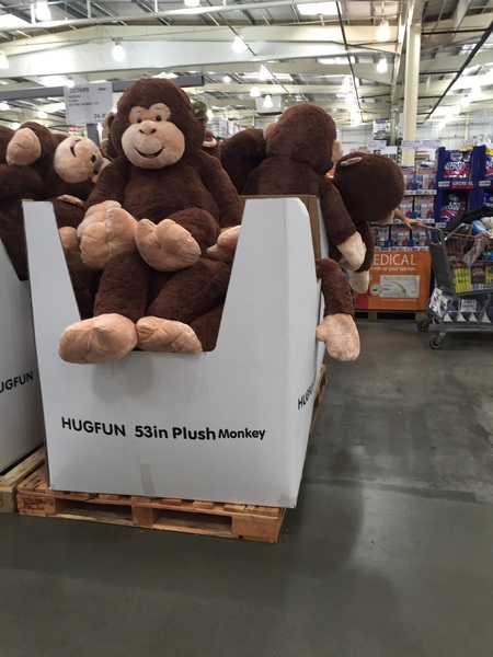 Thread 13 - hush, hatchimals, and hopefully huge bargains