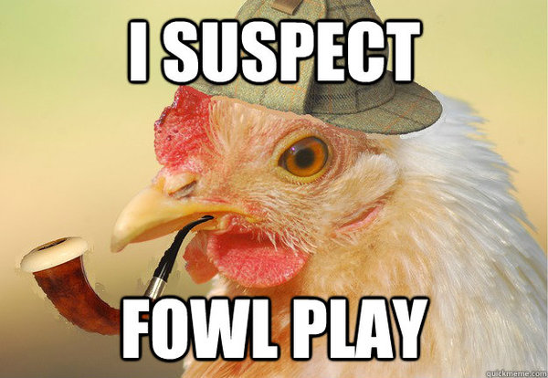 Chicken pics