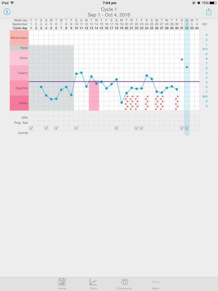 Did I ovulate? Temperature chart analysis please.