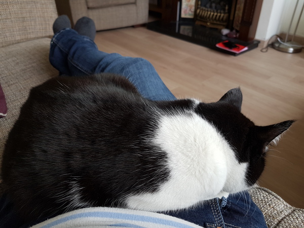 Thread 12 TTC#1 Grads. "You are my favourite thing that ever shit all over my hands"