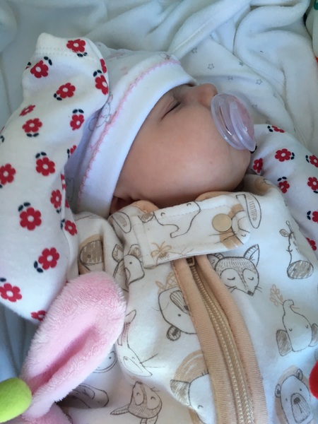 Thread 12 TTC#1 Grads. "You are my favourite thing that ever shit all over my hands"