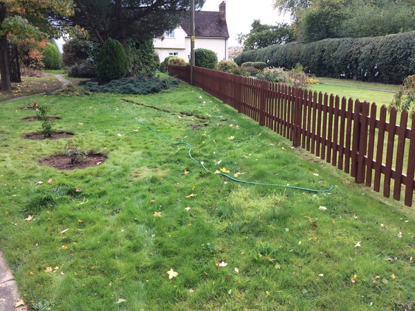 Turning back garden into veg patch