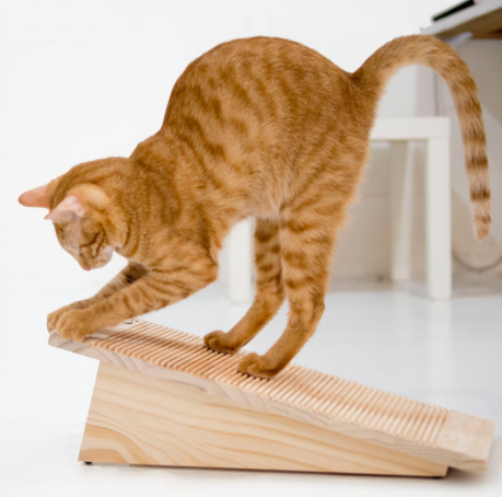 Cat scratching posts?  Or other scratching solutions?