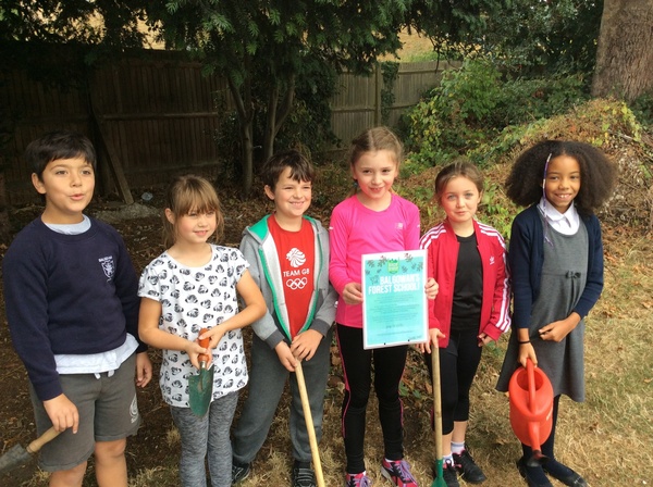 Please vote for Balgowan Primary's Forest School!