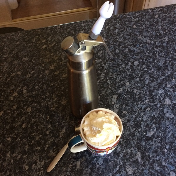 Final Pre-summer Bootcamp weigh-in (and ongoing chat thread)