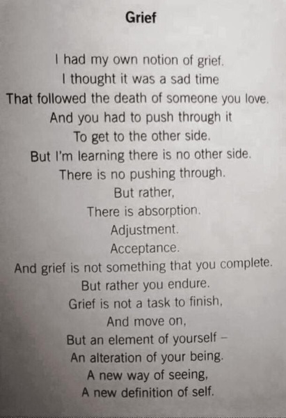 I'm so desperate to shout. "You are so naive!"