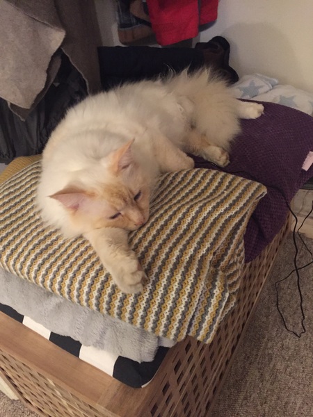 BOO! The Freaky Frugaleers prepare for Halloween and beyond. All welcome!