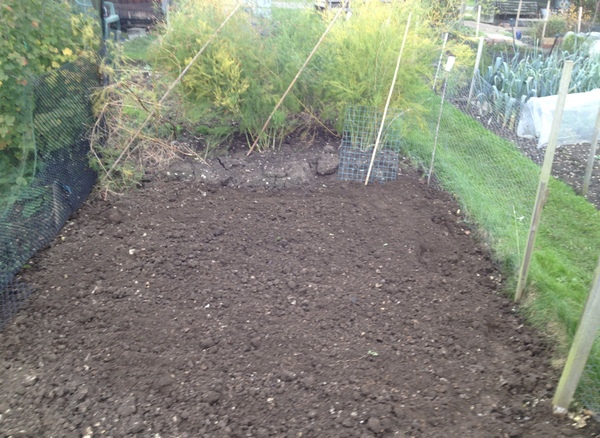 Allotment/Veg Patch - Thread 7 - The Harvesters Arms