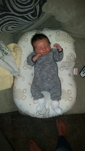 Thread 12 TTC#1 Grads. "You are my favourite thing that ever shit all over my hands"