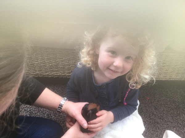 IKEA fleece throws suitable for bedding?