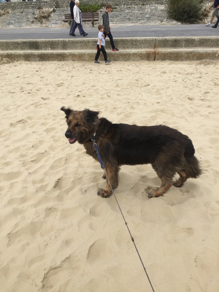 Show me your dogs while I'm waiting for mine!