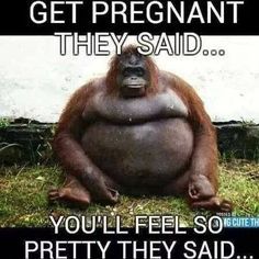 Due February 2017 - Thread 8!