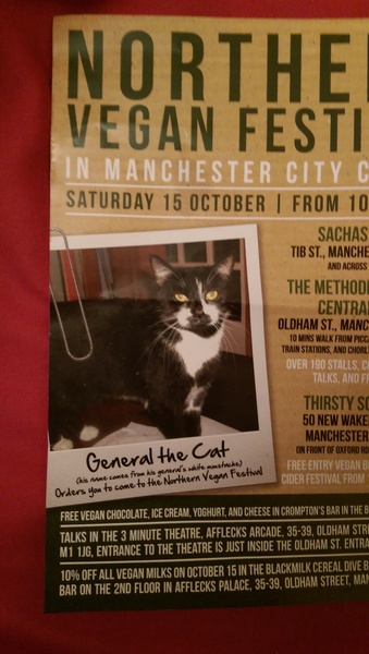 Brave Babes Battle Bus - Holding our heads up like thistles