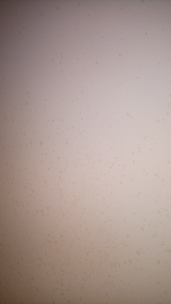 Is this damp?  Or something else?