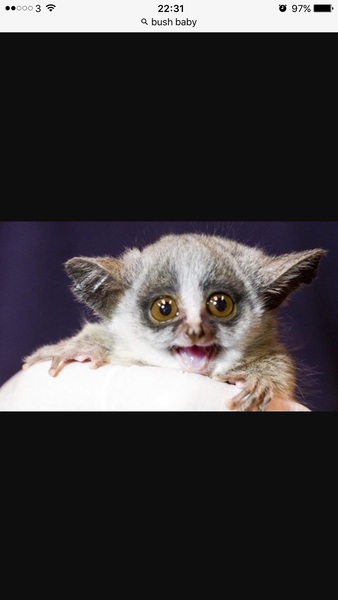 Thread 12 TTC#1 Grads. "You are my favourite thing that ever shit all over my hands"