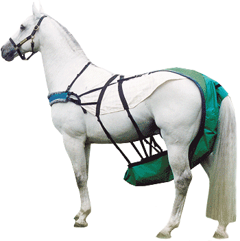 Horses in residential streets