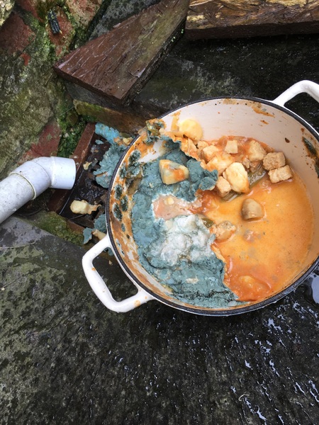 Urgent help required- drastic domestic fail