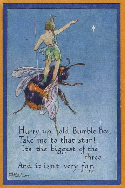 to not know that bees sleep in flowers? Did you know this?!