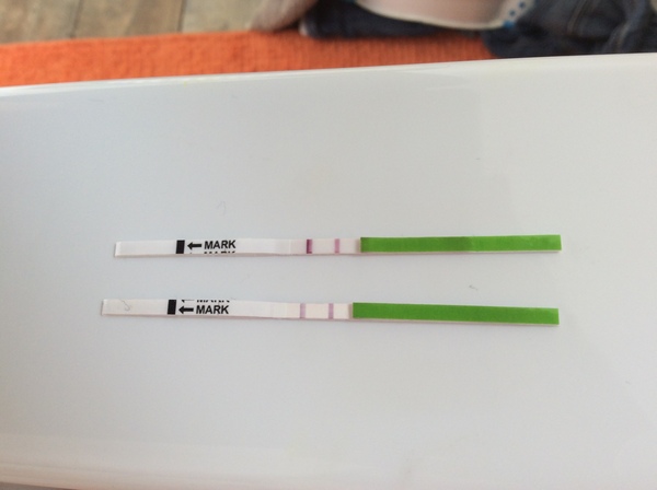 Positive opk after miscarriage- 2