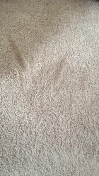 Help burnt my carpet in rented house