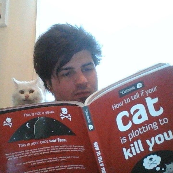 AIBU to feel that the cat is playing silly buggers, and I should not pander to him.