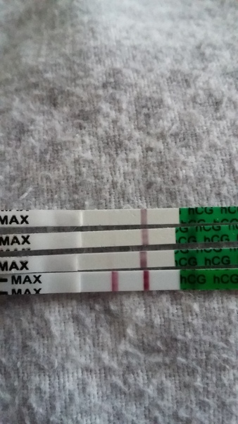 Anyone else Due June 2017?