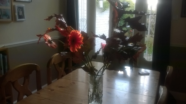 What naice things do you make sure are visible to visitors