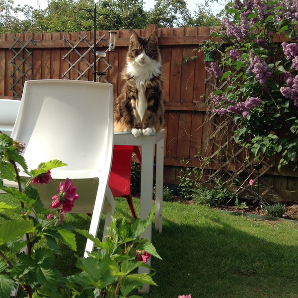 The Friendly Frugaleers, saving and chatting as autumn arrives