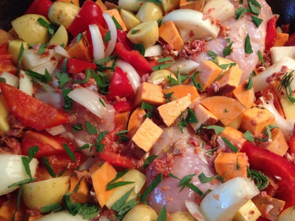 The Friendly Frugaleers, figuring out our finances with furry feline photos!