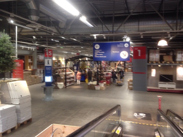 Thread 9 - the one with the surprisingly short horn