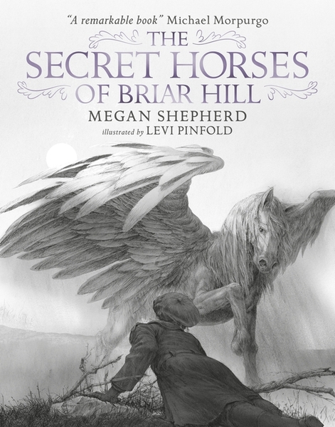 Find out what Mumsnetters' children though of The Secret Horses of Briar Hill by Megan Shepherd and illustrated by Levi Pinfold