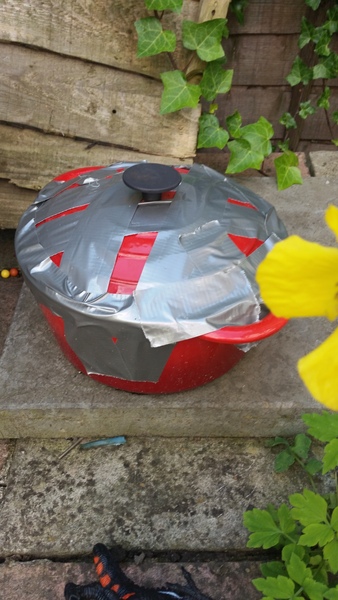 Urgent help required- drastic domestic fail