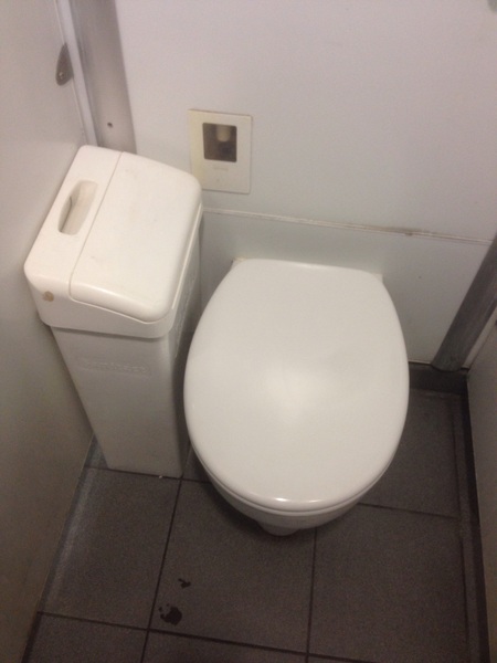 To not want to have to cuddle a sanitary bin every time I use a public loo?