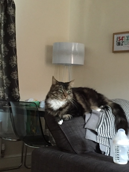 The Friendly Frugaleers, saving and chatting as autumn arrives