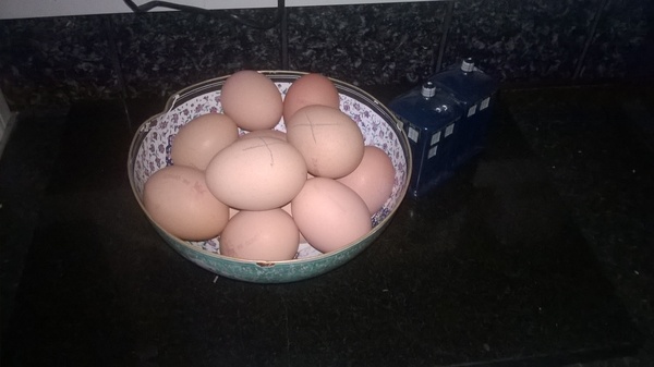 What naice things do you make sure are visible to visitors