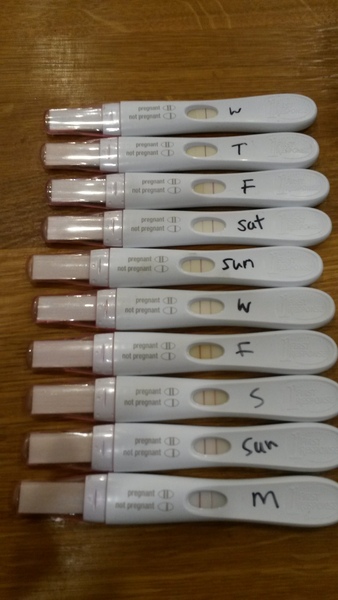 Positive opk after miscarriage- 2
