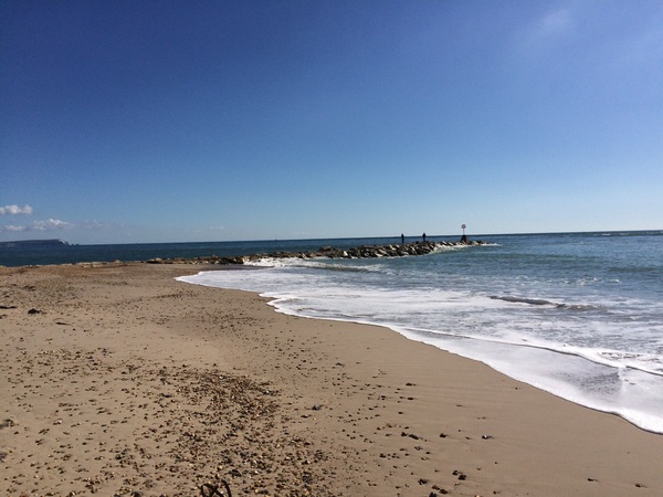 Brave Babes Battle Bus - Holding our heads up like thistles