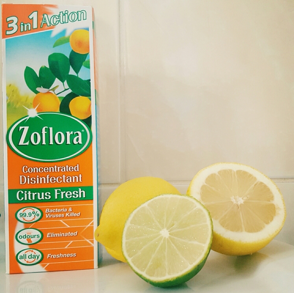 My house/Zoflora