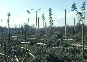 The new hour-long GW.