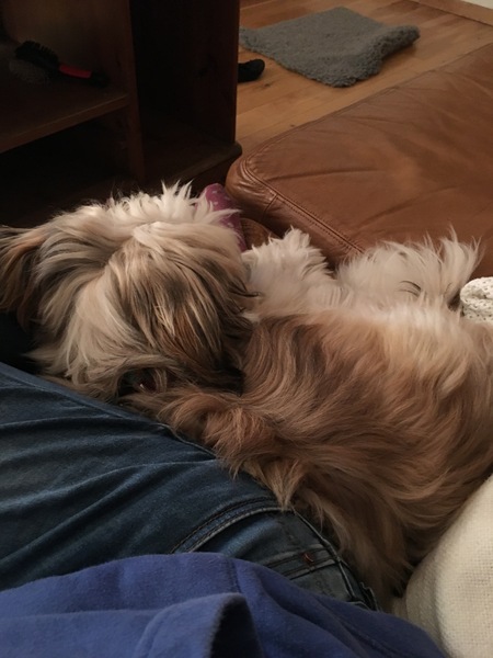 Brave Babes Battle Bus - Holding our heads up like thistles