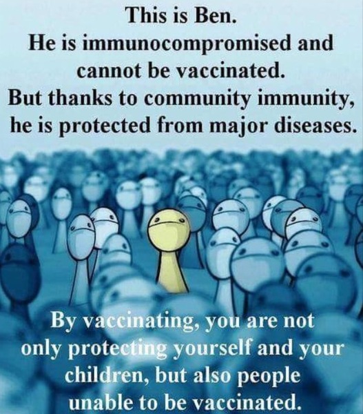 Why are all children being immunised against flu?