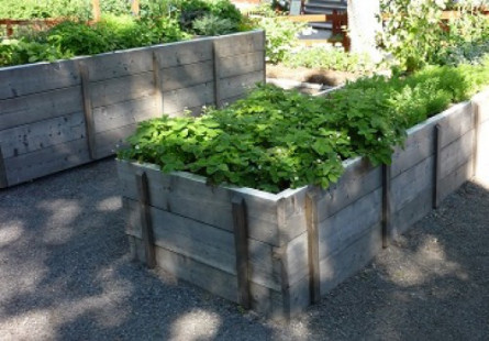 Moving plants from the South coast to the North West coast...