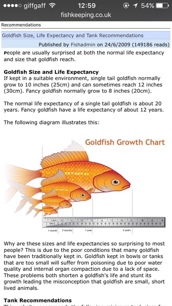 Please critique my goldfish care