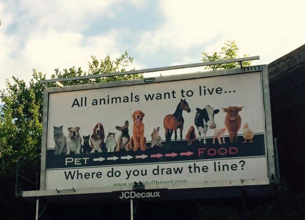 Eating horses?