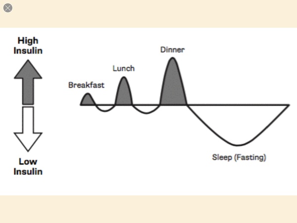 5:2 Thread No. 65: Zap holiday gain when replacement parts are calling from the fridge ? It even has a light to show you the cold pizza 😈 Let's fast & get lean together 😇