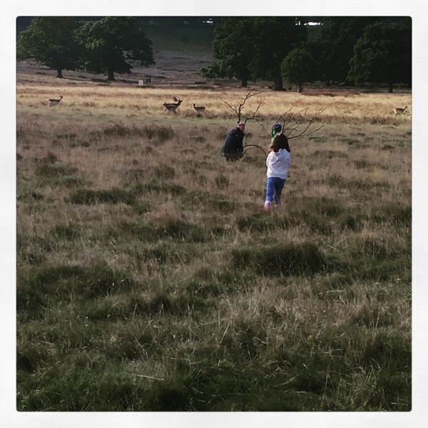 The Friendly Frugaleers, figuring out our finances with furry feline photos!