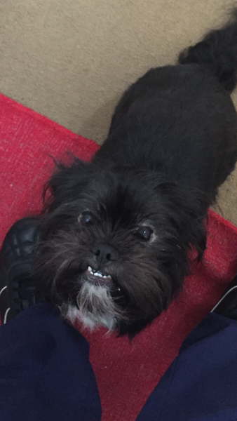 This is the face I get when I say 'BISCUIT'