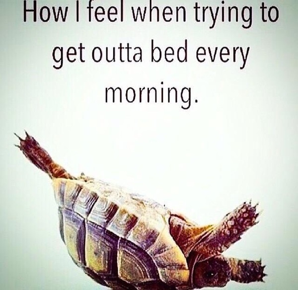 Babies due in November 2016 #6