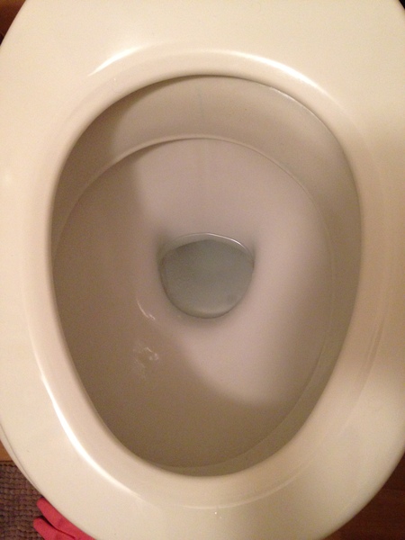 Toilet help please!