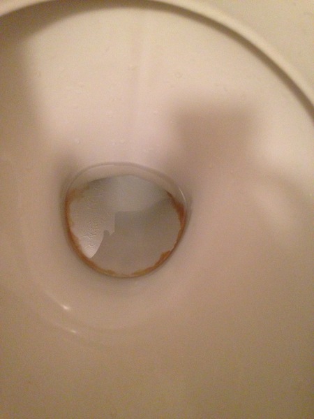 Toilet help please!